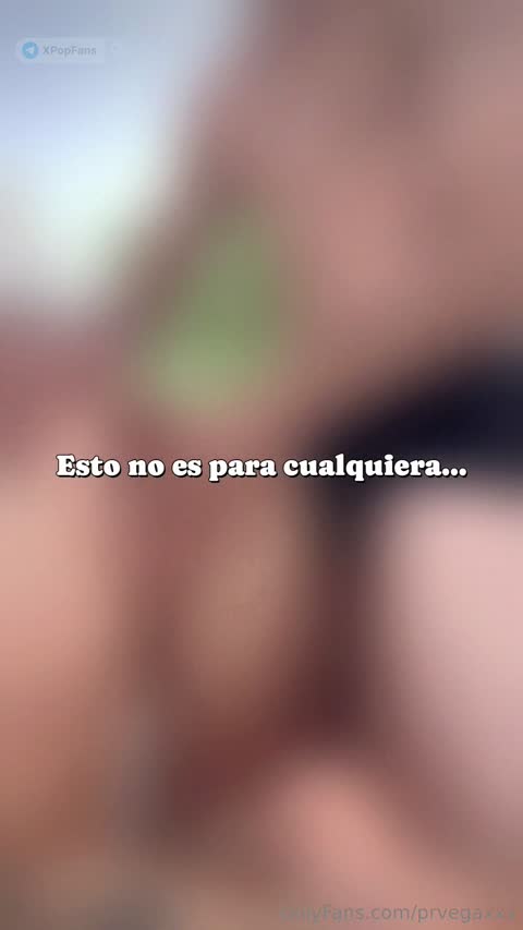 prvegaxxx - 4052976768