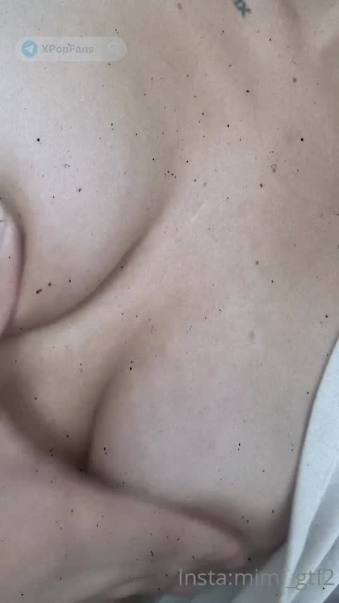 mimigtf1 - 2224862020