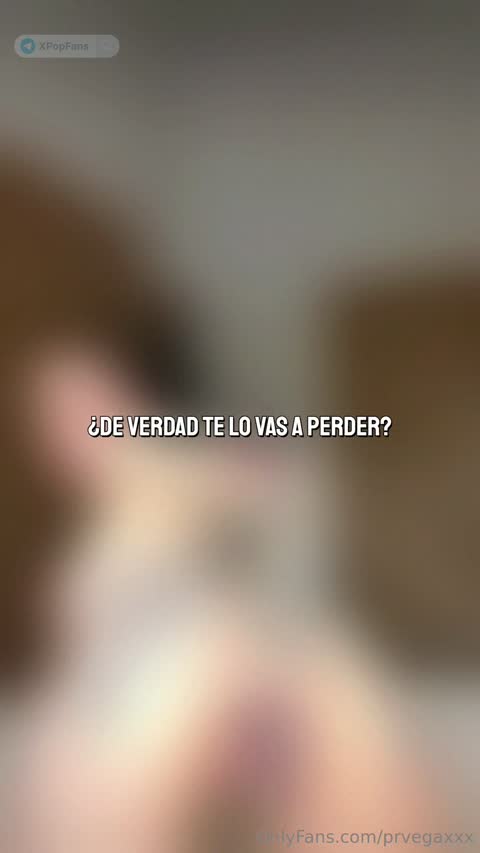 prvegaxxx - 3963571482