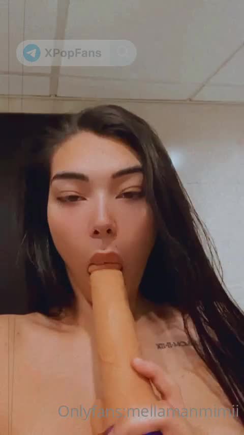 mimigtf1 - 2516644512